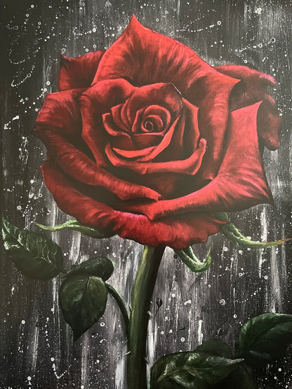 ‘Rose Between Two Thorns’ Print A3