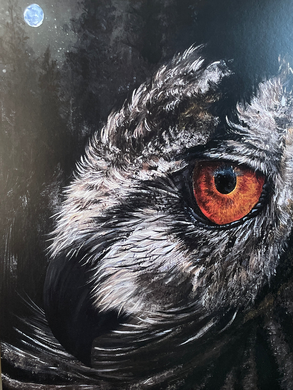 ‘Nocturnal eye’ Print A3