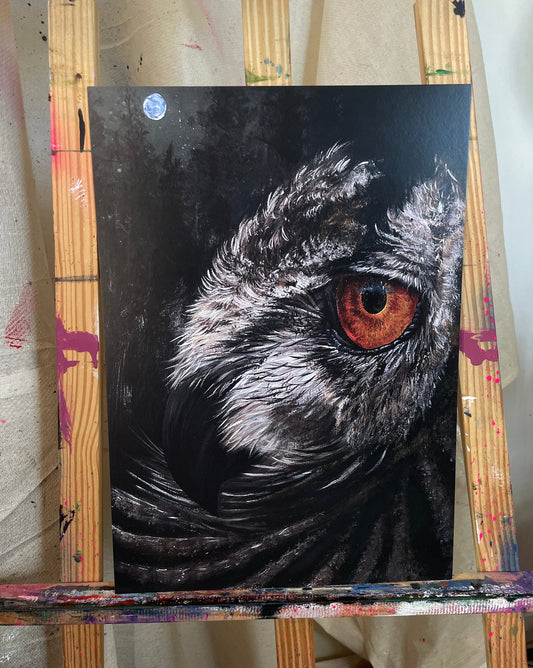 ‘Nocturnal eye’ Print A3
